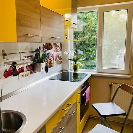 City Center Apartment Timisoara Ngoại thất bức ảnh