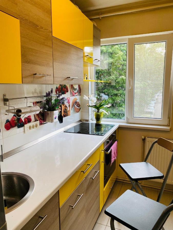 City Center Apartment Timisoara Ngoại thất bức ảnh