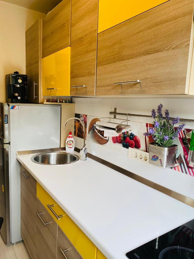 City Center Apartment Timisoara Ngoại thất bức ảnh